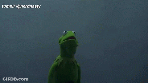 Kermit The Frog And Grim Reaper Are Standing Next To Each Other In The Dark And Looking At Each Other . GIF