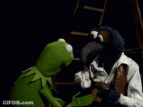 Kermit The Frog And Pirate Face Each Other GIF