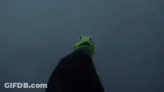 Kermit The Frog And The Grim Reaper Are Standing Next To Each Other And The Grim Reaper Is Wearing A Black Hood . GIF