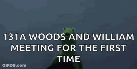 Kermit The Frog And William Shakespeare Are Having A Meeting For The First Time GIF
