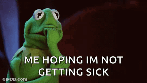 Kermit The Frog Covering Mouth GIF