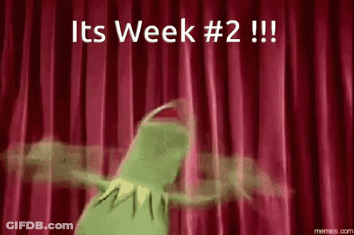 Kermit The Frog Dancing In Front Of Red Curtain Saying Its Week # 2 GIF