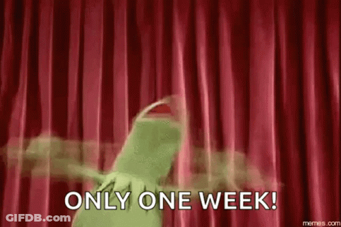 Kermit The Frog Dancing On Stage GIF