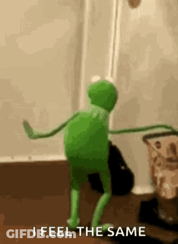 Kermit The Frog Dancing Saying I Feel The Same GIF