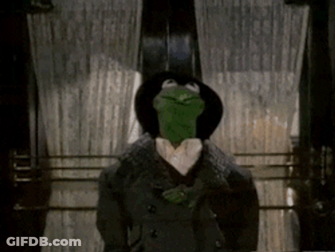 Kermit The Frog Detective Disguised Meme GIF