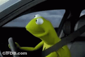 Kermit The Frog Driving A Car With Seatbelt GIF
