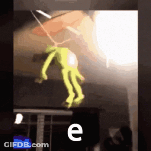 Kermit The Frog Flying Fan GIF
