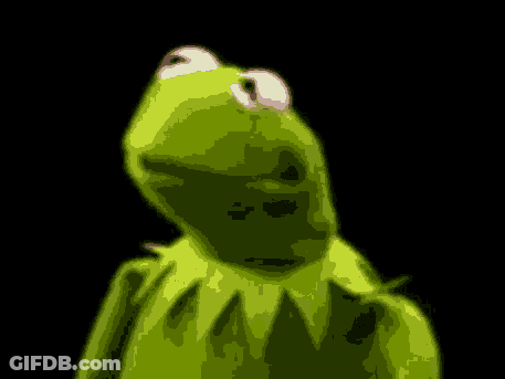 Kermit The Frog Looking At Camera GIF