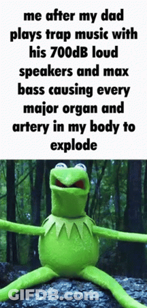 Kermit The Frog Funny Meme GIF