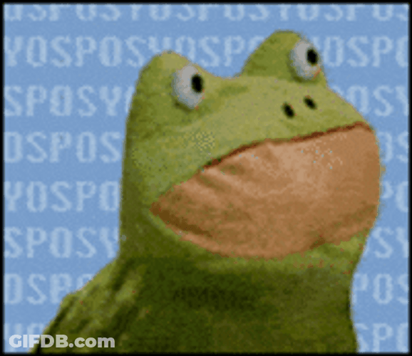 Kermit The Frog Funny Silly Face Meme GIF