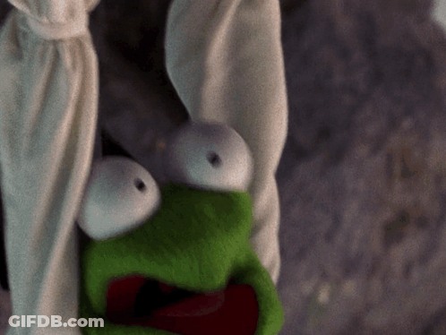 Kermit The Frog Hanging Upside Down From A Cloth GIF