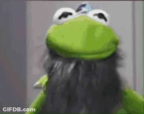 Kermit The Frog Has A Beard And A Blue Hat GIF