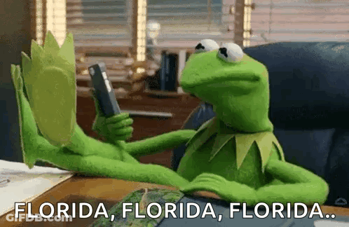 Kermit The Frog Holding Cell Phone Saying Florida Florida Florida GIF