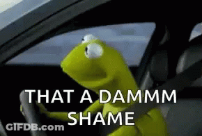 Kermit The Frog In Driver Seat Saying That A Damm Shame GIF