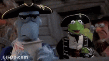Kermit The Frog In Pirate Hat And Sunglasses Sitting Next To A Bird GIF