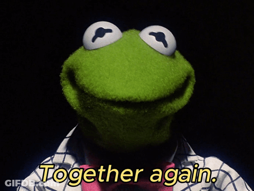 Kermit The Frog In Plaid Jacket And Bow Tie GIF