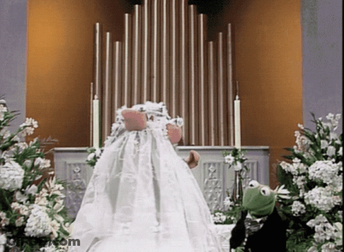 Kermit The Frog In Wedding Dress At Church Organ GIF