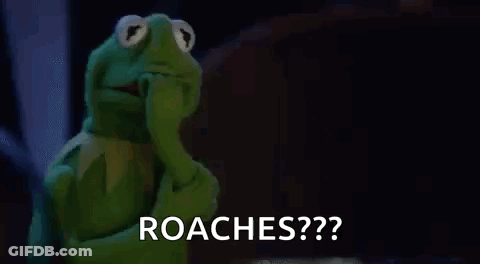 Kermit The Frog Is Covering His Face With His Hand And Saying Roaches . GIF