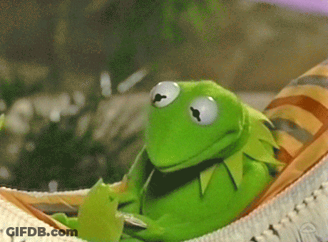 Kermit The Frog Is Laying In A Hammock With A Coin In His Mouth . GIF