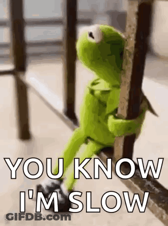 Kermit The Frog Is Leaning Against A Railing And Saying `` You Know I 'M Slow '' GIF