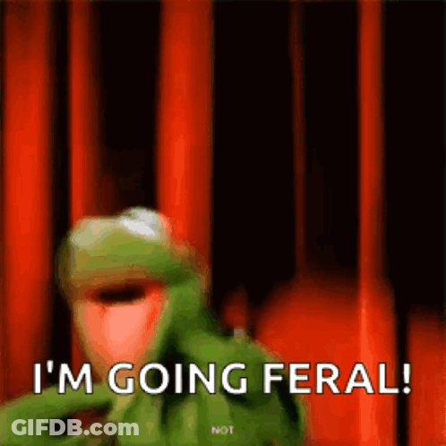 Kermit The Frog Is Saying I 'M Going Feral In Front Of A Red Curtain . GIF