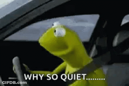 Kermit The Frog Is Sitting In The Driver 'S Seat Of A Car And Asking Why So Quiet . GIF