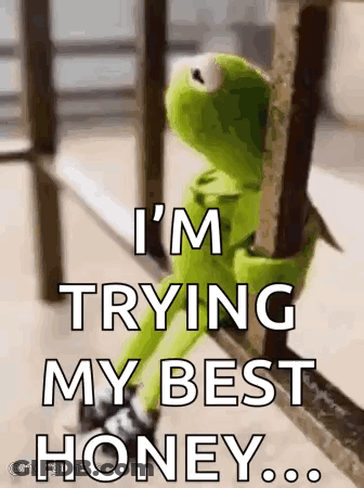 Kermit The Frog Is Sitting On A Railing And Saying `` I 'M Trying My Best Honey ... '' . GIF