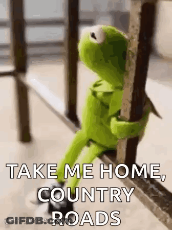 Kermit The Frog Is Sitting On A Railing Holding Onto A Railing And Saying `` Take Me Home Country Roads '' . GIF