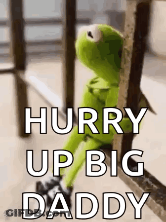 Kermit The Frog Is Sitting On A Railing Looking Out A Window And Saying `` Hurry Up Big Daddy '' . GIF