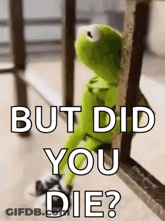 Kermit The Frog Is Sitting On A Railing Looking Out Of A Window And Says `` But Did You Die ? '' GIF
