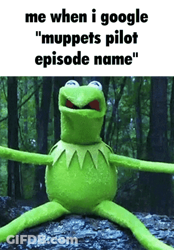 Kermit The Frog Is Sitting On A Rock In The Woods GIF