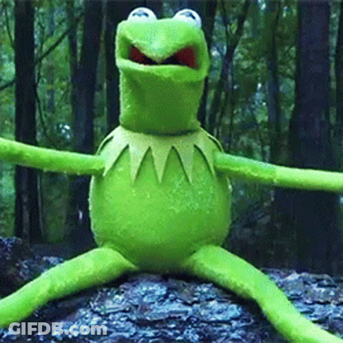 Kermit The Frog Is Sitting On A Rock In The Woods With His Arms Outstretched GIF