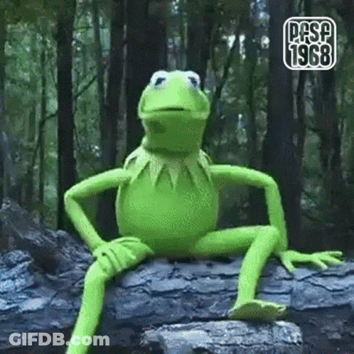 Kermit The Frog Is Sitting On A Rock In The Woods With His Legs Crossed . GIF