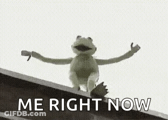 Kermit The Frog Is Sitting On The Edge Of A Building . GIF