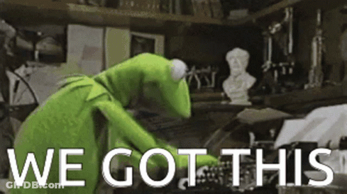 Kermit The Frog Is Standing In A Room With The Words We Got This Written On The Bottom GIF