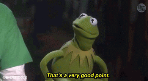 Kermit The Frog Is Standing In Front Of A Person And Saying `` That 'S A Very Good Point '' . GIF