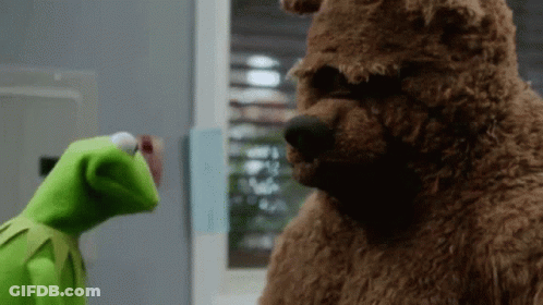 Kermit The Frog Is Standing Next To A Brown Teddy Bear GIF