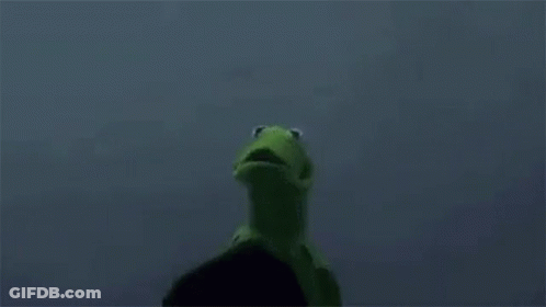 Kermit The Frog Is Standing Next To A Green Frog In A Black Hood . GIF