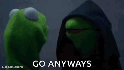 Kermit The Frog Is Standing Next To A Muppet Wearing A Black Hood And The Words `` Go Anyways '' . GIF
