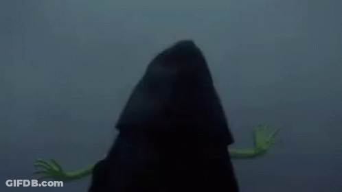 Kermit The Frog Is Standing Next To A Person In A Black Hood . GIF