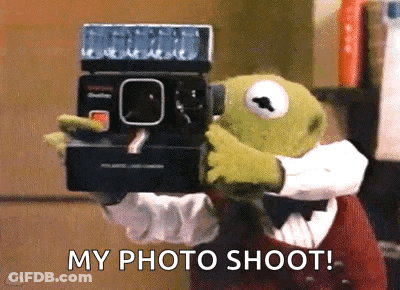 Kermit The Frog Is Taking A Picture With A Polaroid Camera GIF