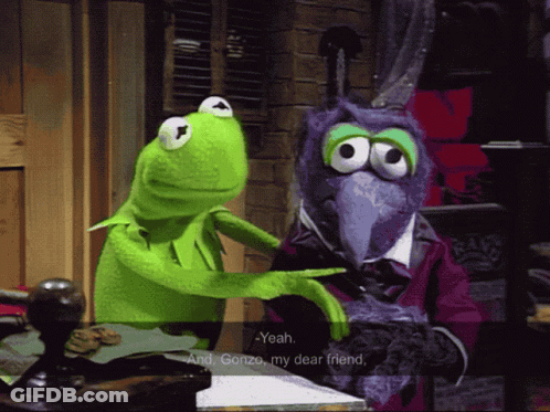 Kermit The Frog Is Talking To Gonzo The Purple Bird GIF