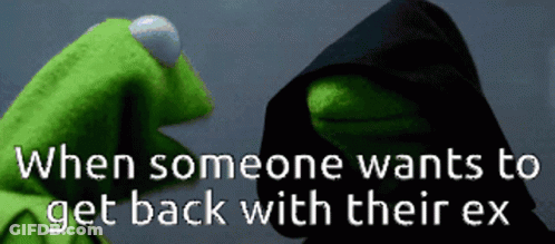 Kermit The Frog Is Wearing A Black Hood And Has The Words When Someone Wants To Get Back With Their Ex Written Below Him GIF