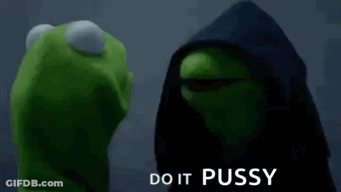 Kermit The Frog Is Wearing A Hooded Jacket And Talking To A Puppet . GIF