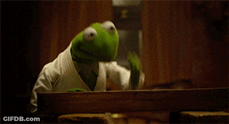 Kermit The Frog Karate Chops Meme GIF