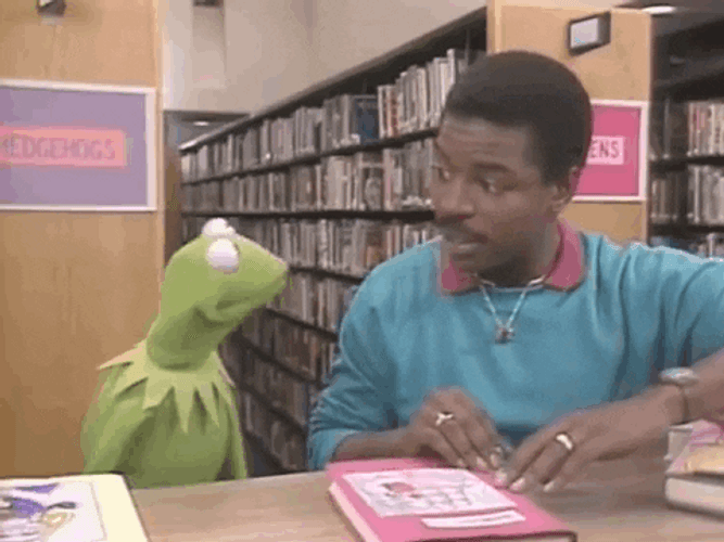 Kermit The Frog LeVar Burton Meme GIF