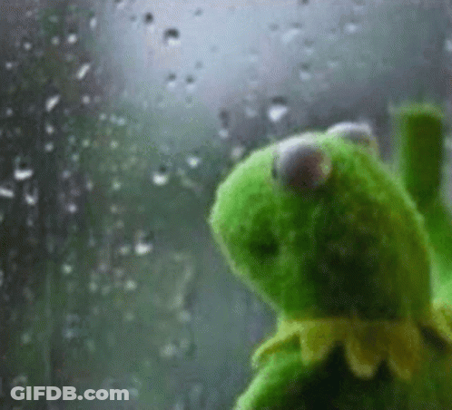 Kermit The Frog Looking Out Window In Rain GIF