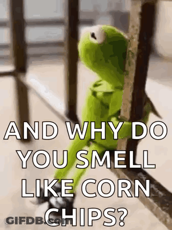 Kermit The Frog Looking Out Window On Railing GIF