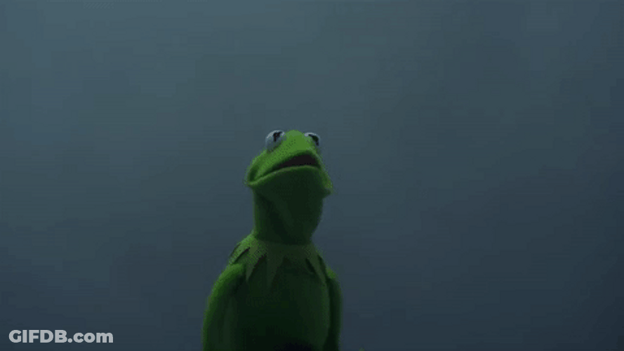 Kermit The Frog Meme GIF