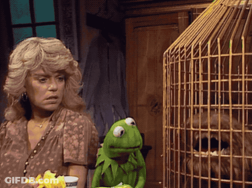 Kermit The Frog Next To Woman And Cage GIF